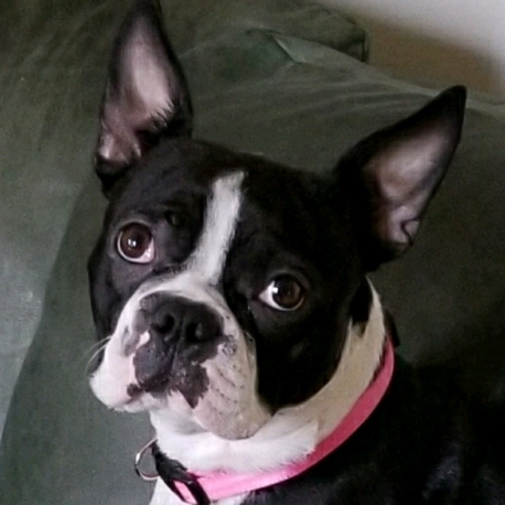 Meet your Posher, John